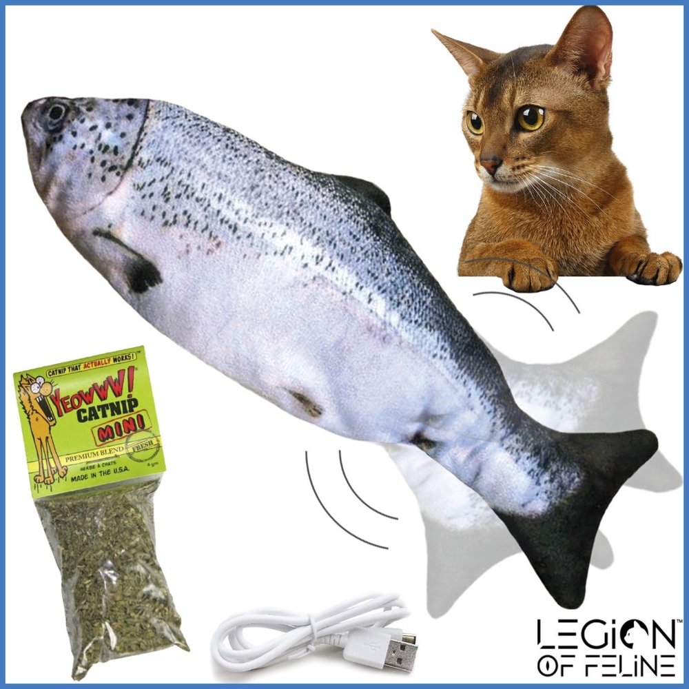 🐈 Legion of Feline Floppy Fish Cat Toy - Salmon🐟
